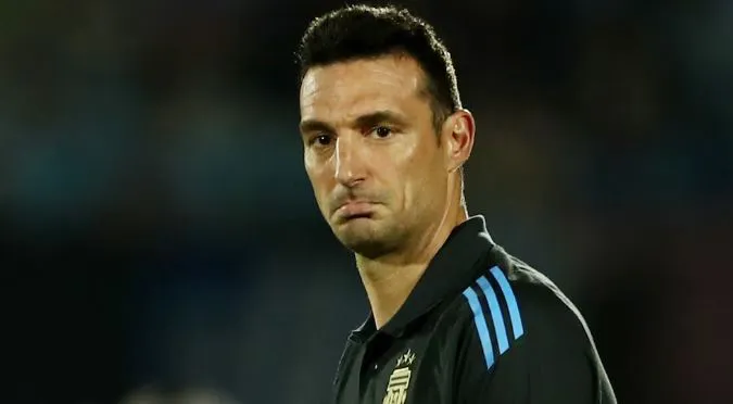 NOTICIA 2 SCALONI
