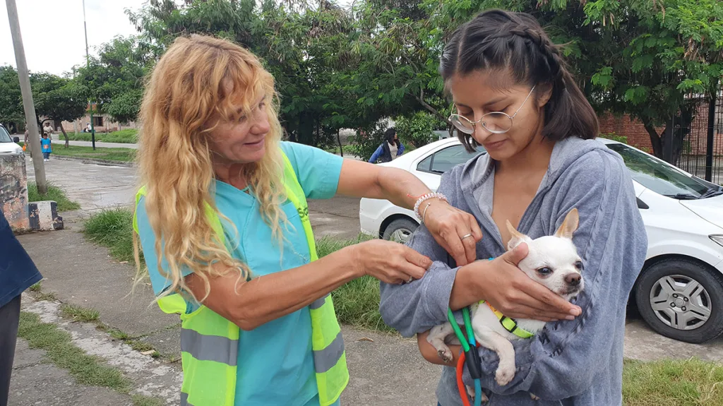 multimedia.normal.9f396b55d47d2a89.dmFjdW5hY2lvbi1hbnRpcnJhYmljYS1lbi0yMC1kZS1fbm9ybWFsLndlYnA=