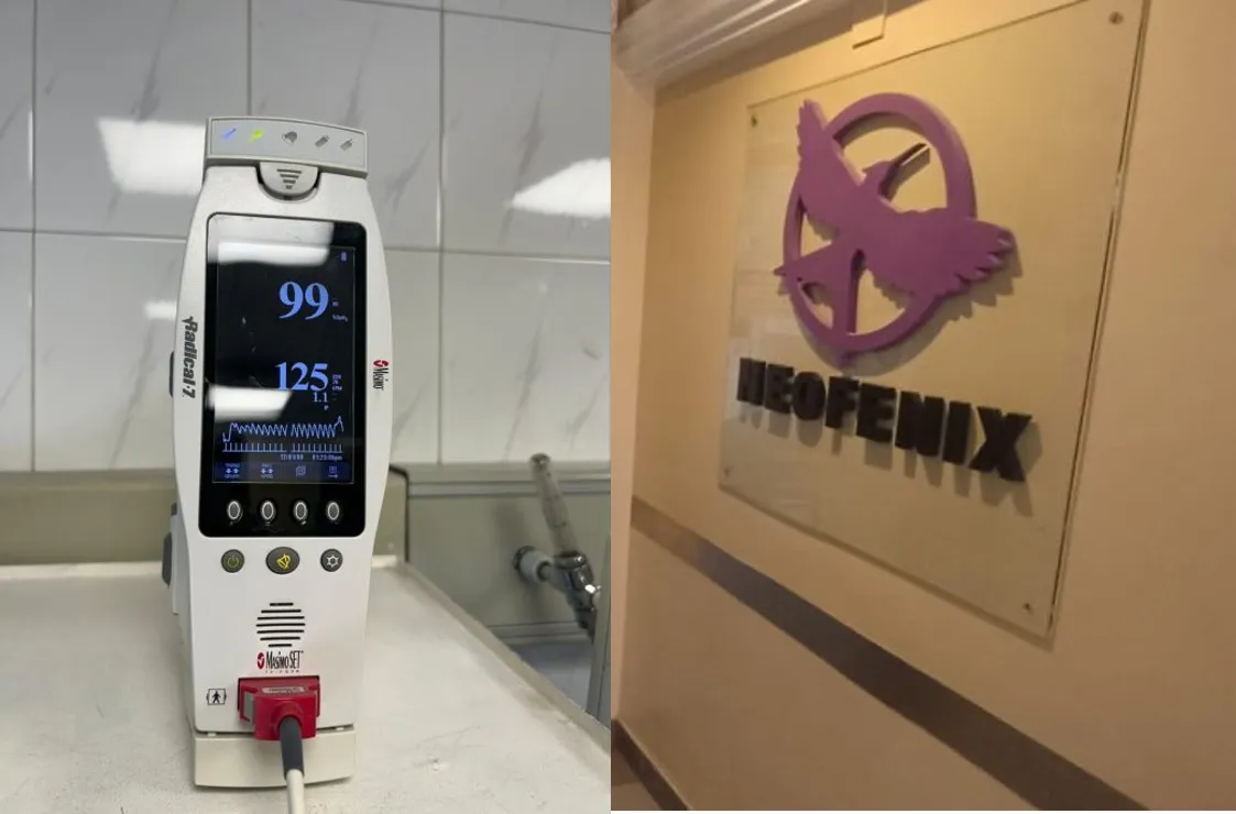 multimedia.normal.80d19fcdcdabf778.bm9ybWFsLndlYnA=