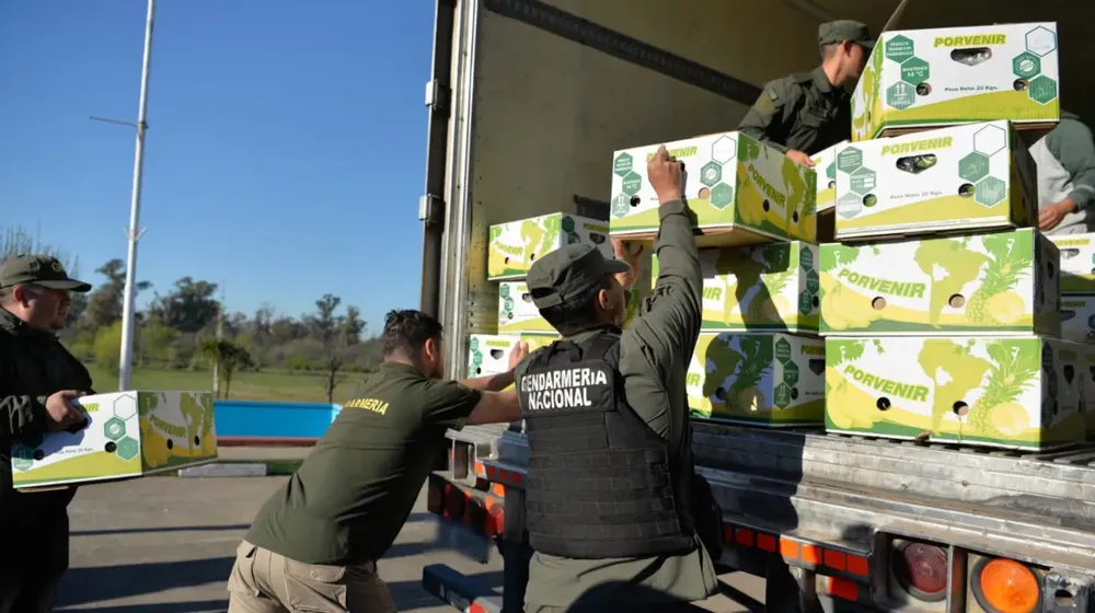 el-millonario-cargamento-de-cocaina-estaba-camuflado-entre-cajas-de-bananas-en-monte-grande-partido-de-esteban-echeverria-foto-argentinagobar-KKGWJKNULFD5HKX7QTIIIBOGOA