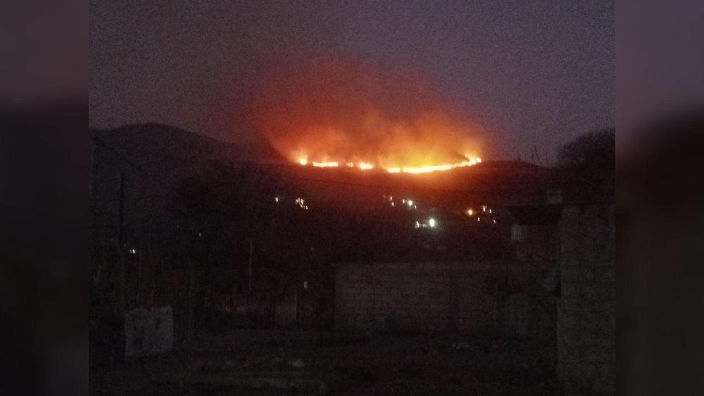 WhatsApp Image 2024-09-04 at 7.24.20 AM