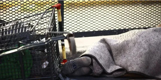 multimedia.normal.a8bfb599c6010104.cG9icmVzcy0xX25vcm1hbC53ZWJw