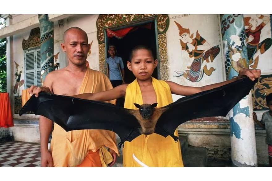 WhatsApp Image 2023-09-19 at 08.40.04