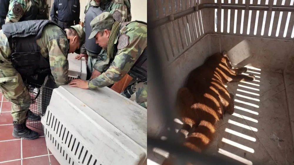 multimedia.grande.801873e5ff98510e.RGlzZcOxbyBzaW4gdMOtdHVsbyAoMSlfZ3JhbmRlLndlYnA=