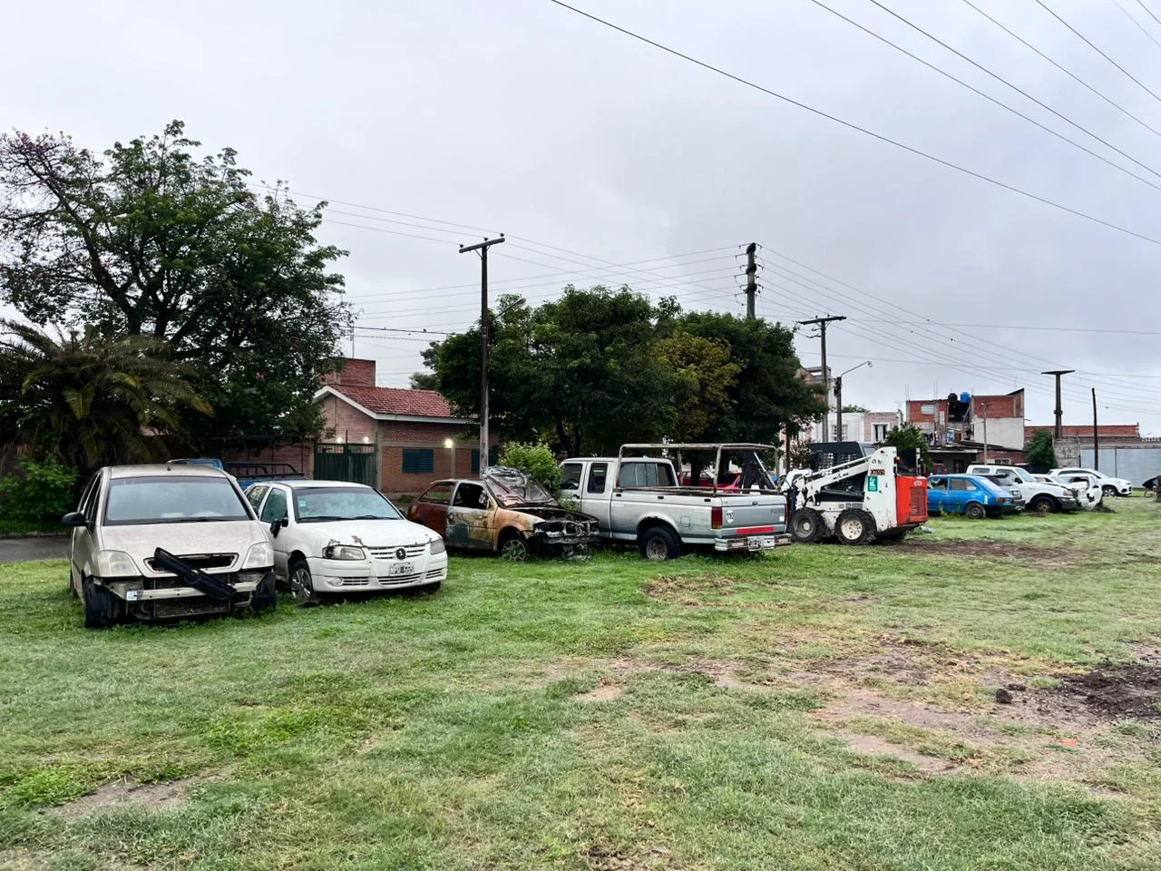 WhatsApp Image 2026-03-26 at 07.50.47