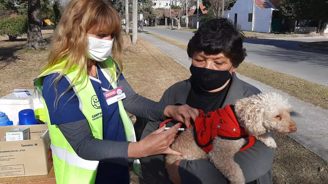 vacunacion-antirrabica-34