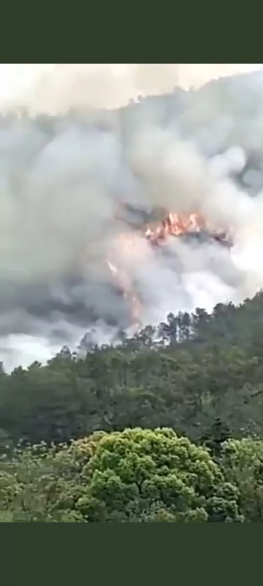 WhatsApp Image 2022-03-21 at 07.41.48