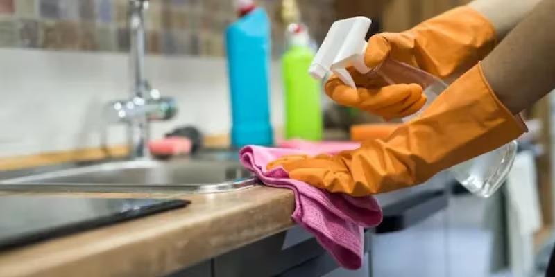 WhatsApp Image 2024-08-27 at 8.11.27 AM