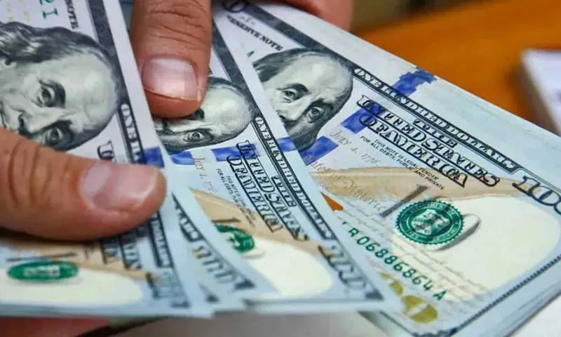 Dolares