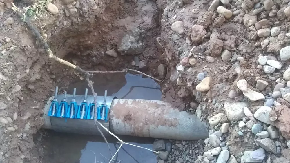 WhatsApp Image 2022-06-30 at 8.24.52 AM