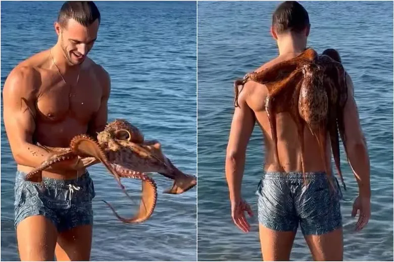 WhatsApp Image 2025-01-15 at 8.39.54 AM