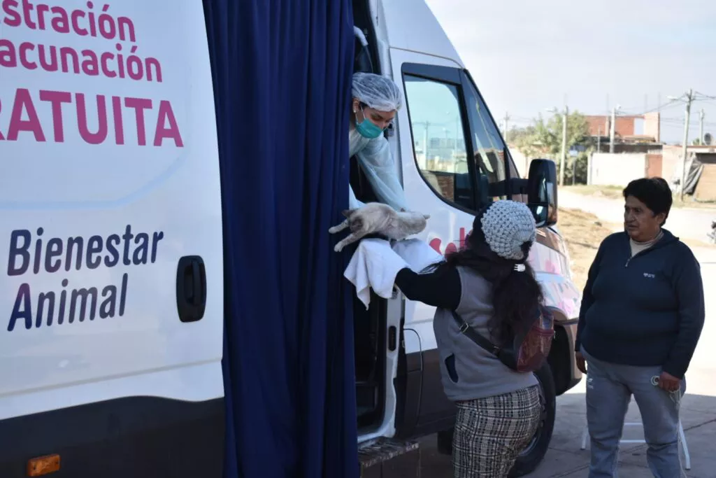 movil-quirurgico-nido-2