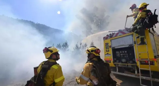 noti 1 chubut llamas