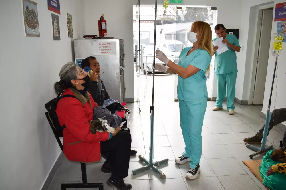 dia-del-veterinario-hospital-municipal-de-salud-animal-7