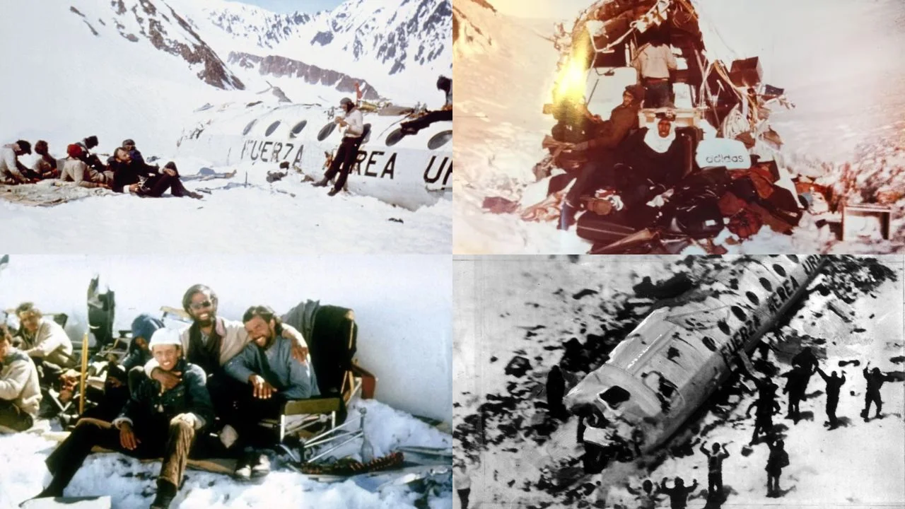 imagen_2024-02-08_093603573