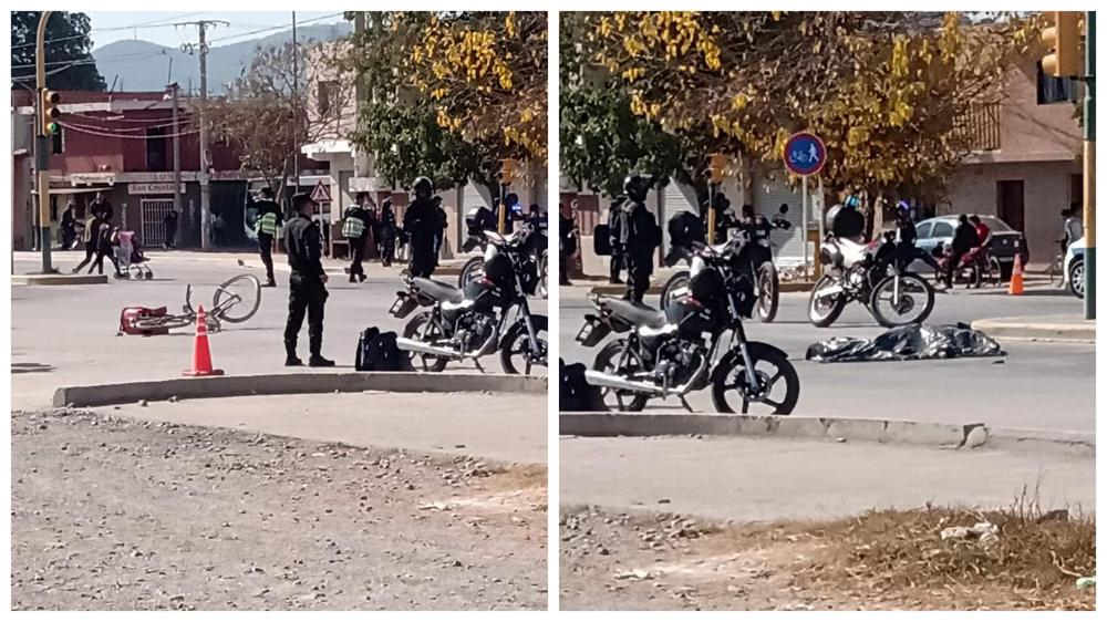 InShot_20240608_161242894