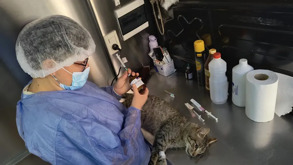 movil-de-castracion-villa-lujan-4-jpg