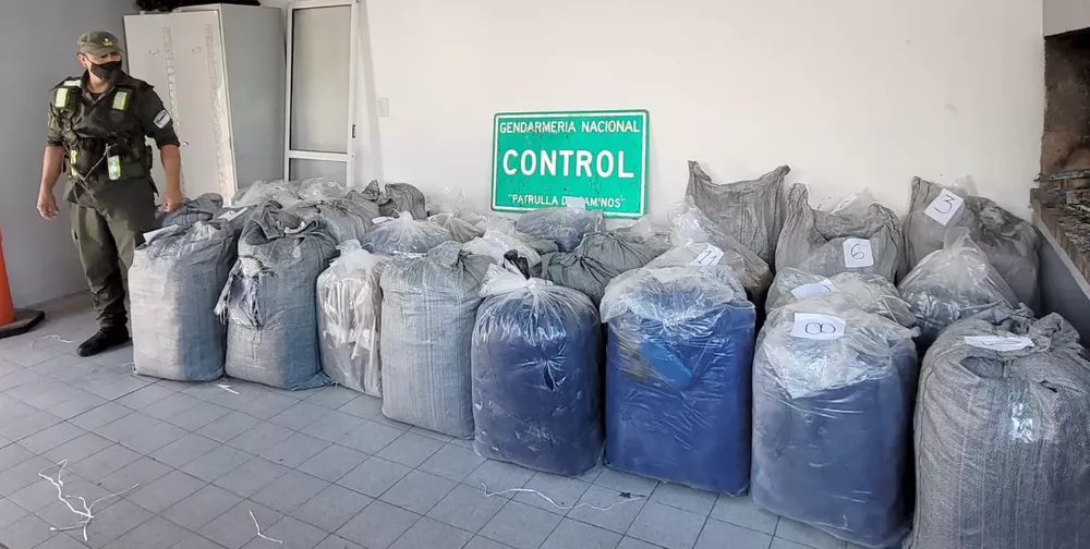 hallan_869_kilos_de_hojas_de_coca_ocultos_entre_cajones_de_frutas_1