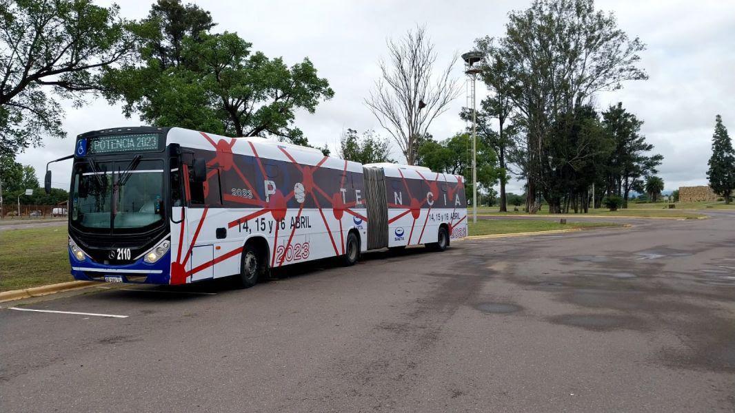 multimedia.normal.ac930474189914f6.cG90ZW5jaWFfbm9ybWFsLmpwZWc=