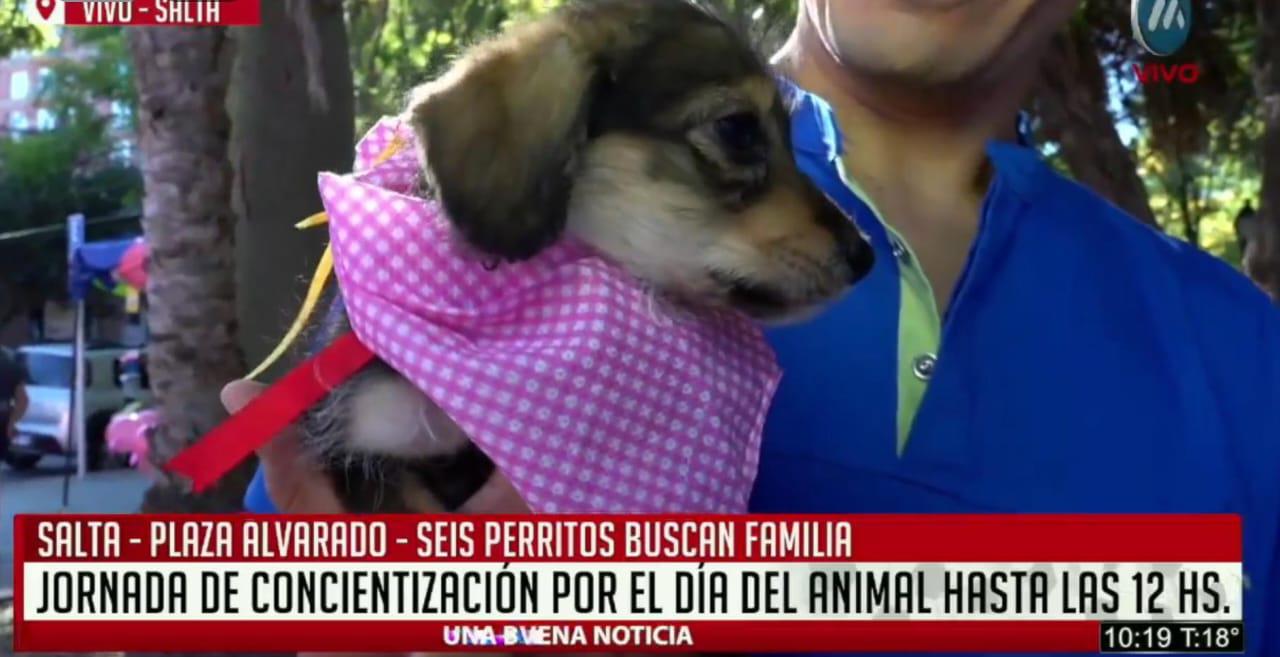 WhatsApp Image 2024-04-29 at 11.04.51 (2)