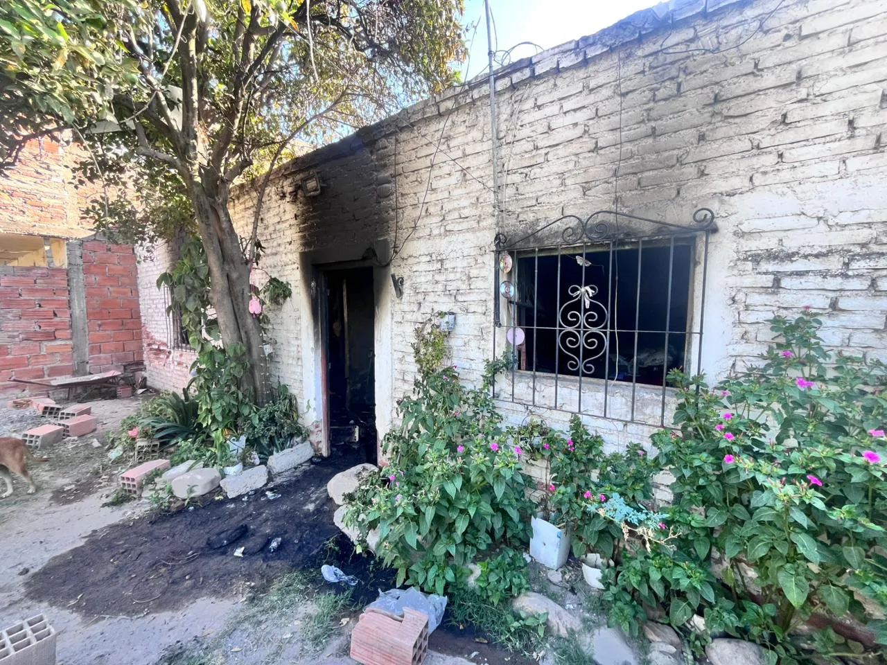 WhatsApp Image 2025-12-17 at 08.48.11