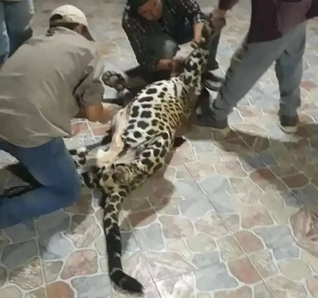 WhatsApp Image 2022-09-14 at 11.01.08