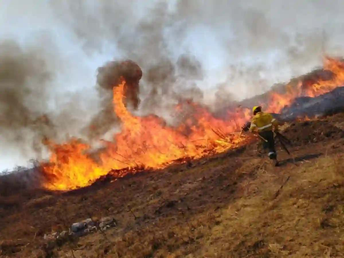 38317-alerta-extrema-por-incendios-forestales-en-salta-20240831123823