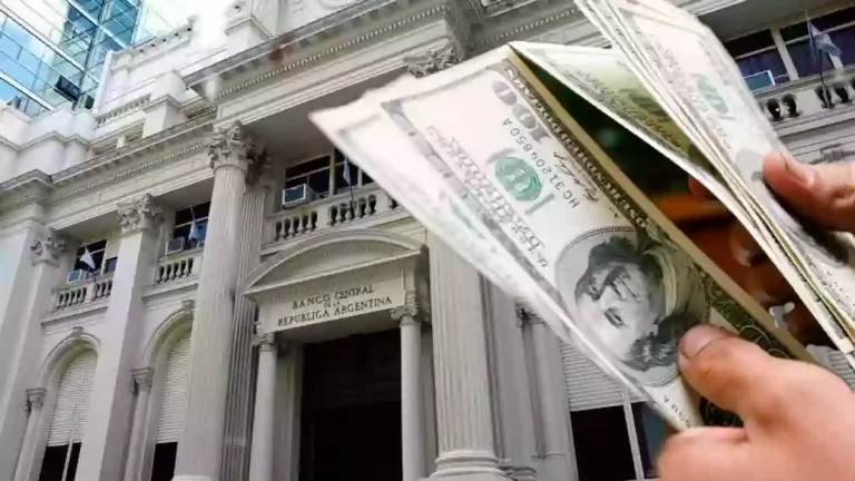 117174-cual-fue-el-paso-clave-a-la-dolarizacion-que-dio-el-banco-central-768x432