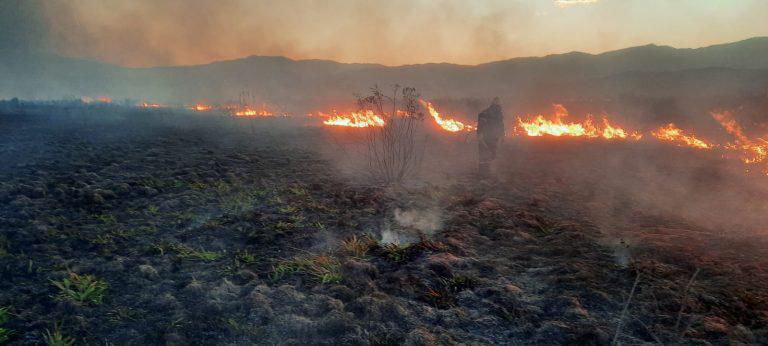 incendios2-768x346