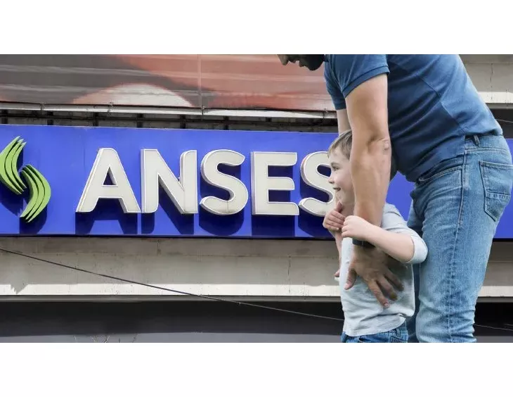 anses