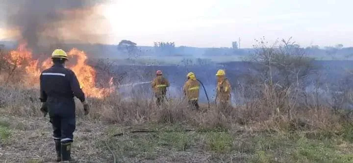 multimedia.normal.96a276cdf7ef2c65.RkJfSU1HXzE2OTE4NjkxNDc4NjBfbm9ybWFsLndlYnA=