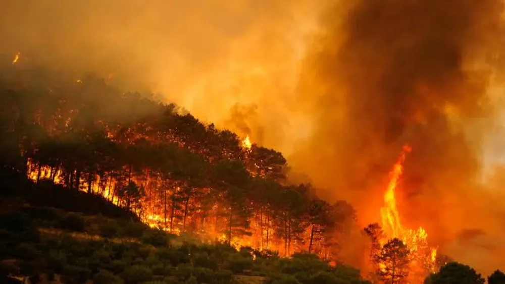 incendio