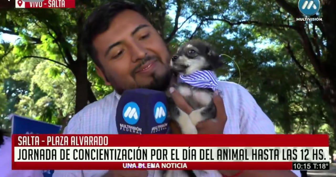 WhatsApp Image 2024-04-29 at 11.04.51