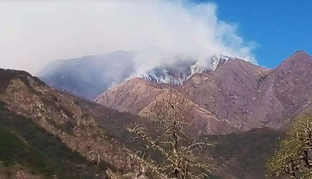 WhatsApp Image 2022-11-04 at 07.02.45