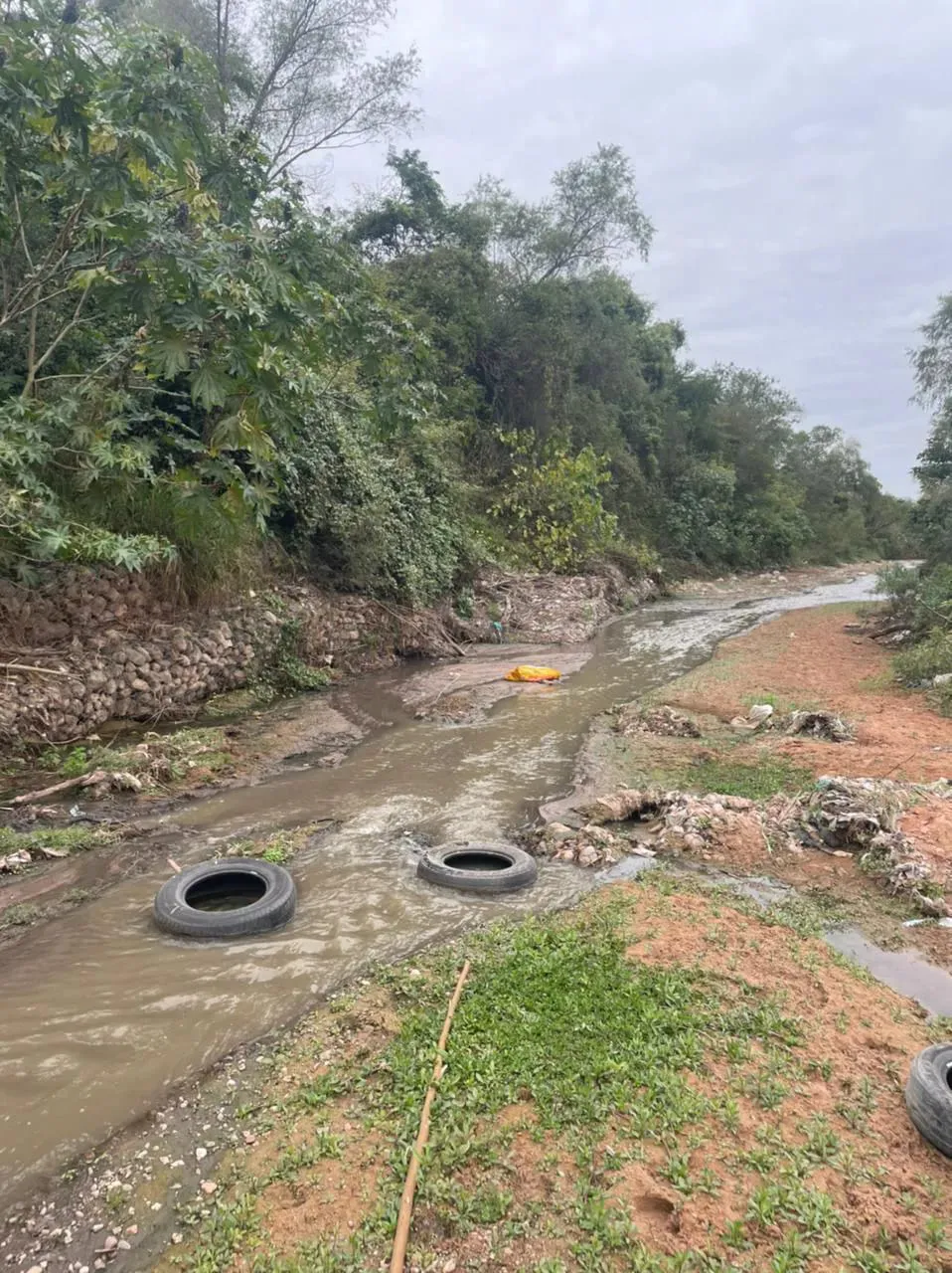 WhatsApp Image 2025-08-06 at 08.04.20