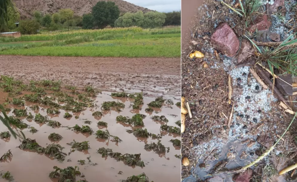 65bc02d5c26f4__993x610