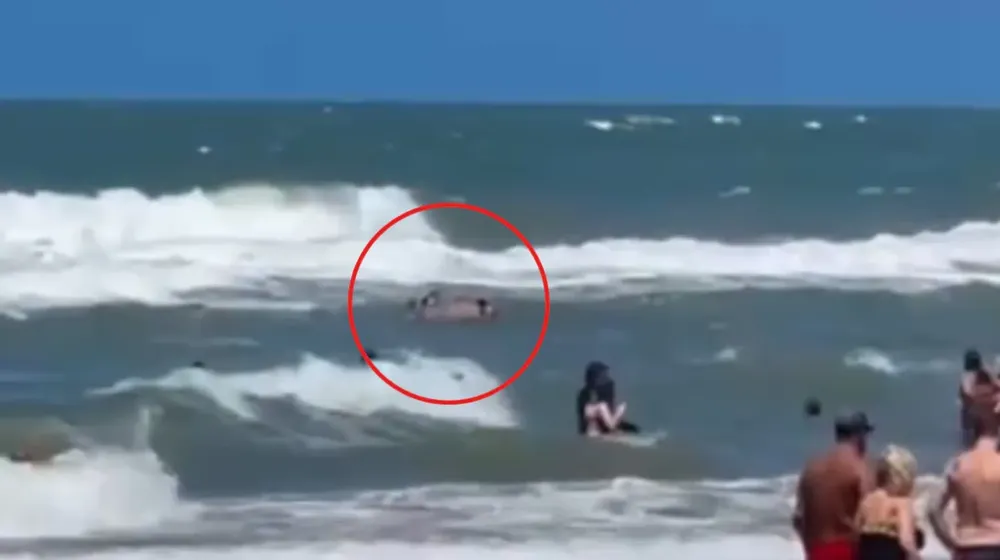 https___thumbs.vodgc.net_1-398-7dDOz81770197682942-1770198107 (1)