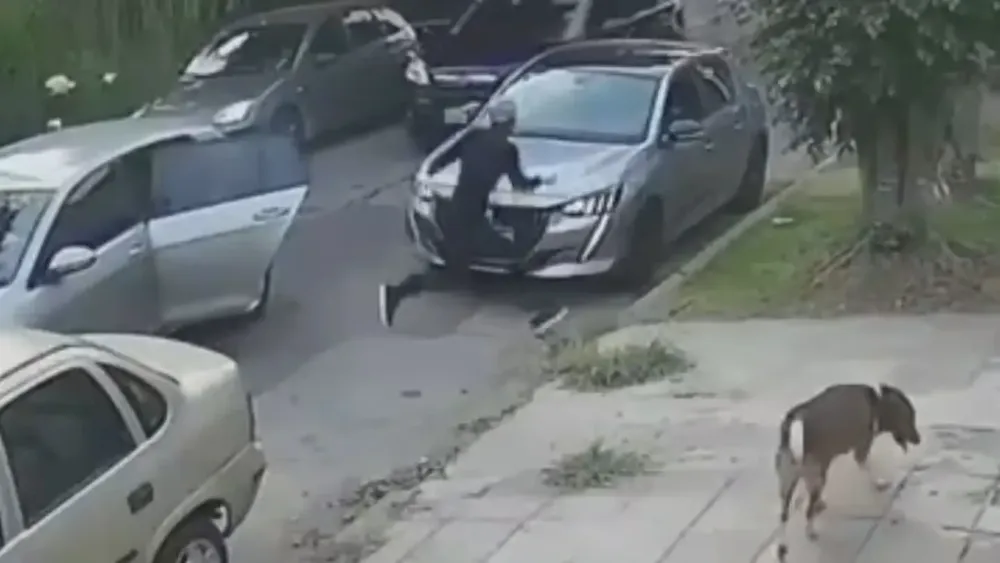 https___thumbs.vodgc.net_1-419-V6i4XF1742818531644-1742818897