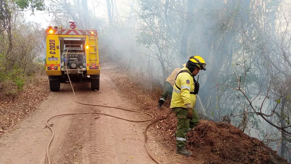 19-10 Incendios forestales