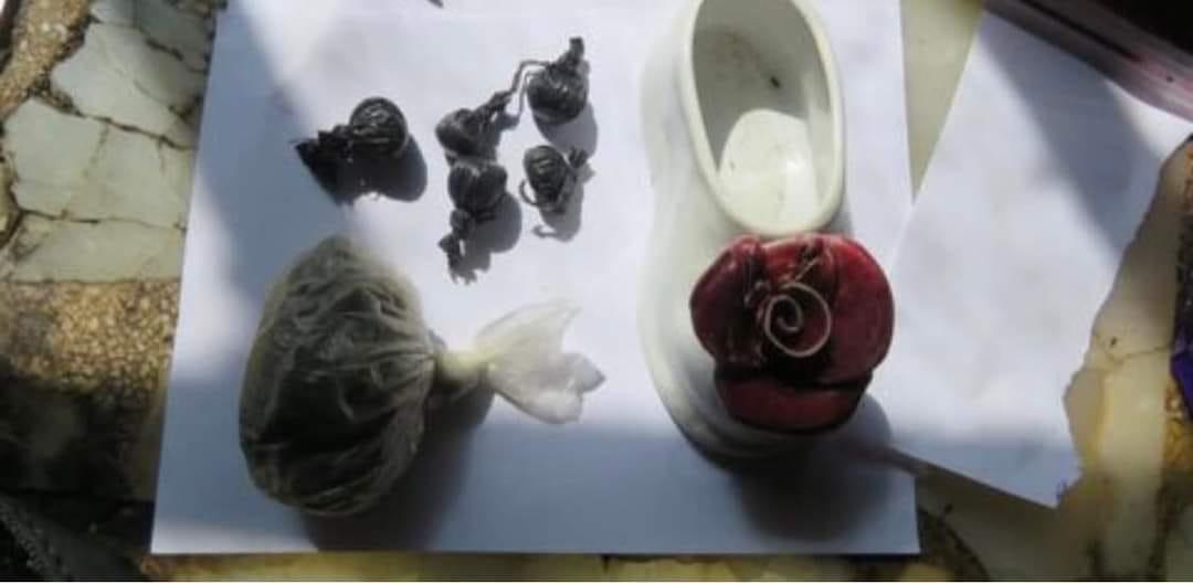 WhatsApp Image 2023-04-04 at 07.45.38