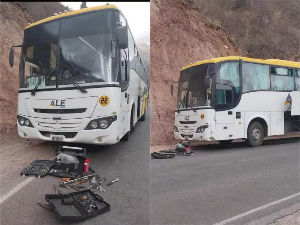 WhatsApp Image 2022-11-15 at 09.36.14