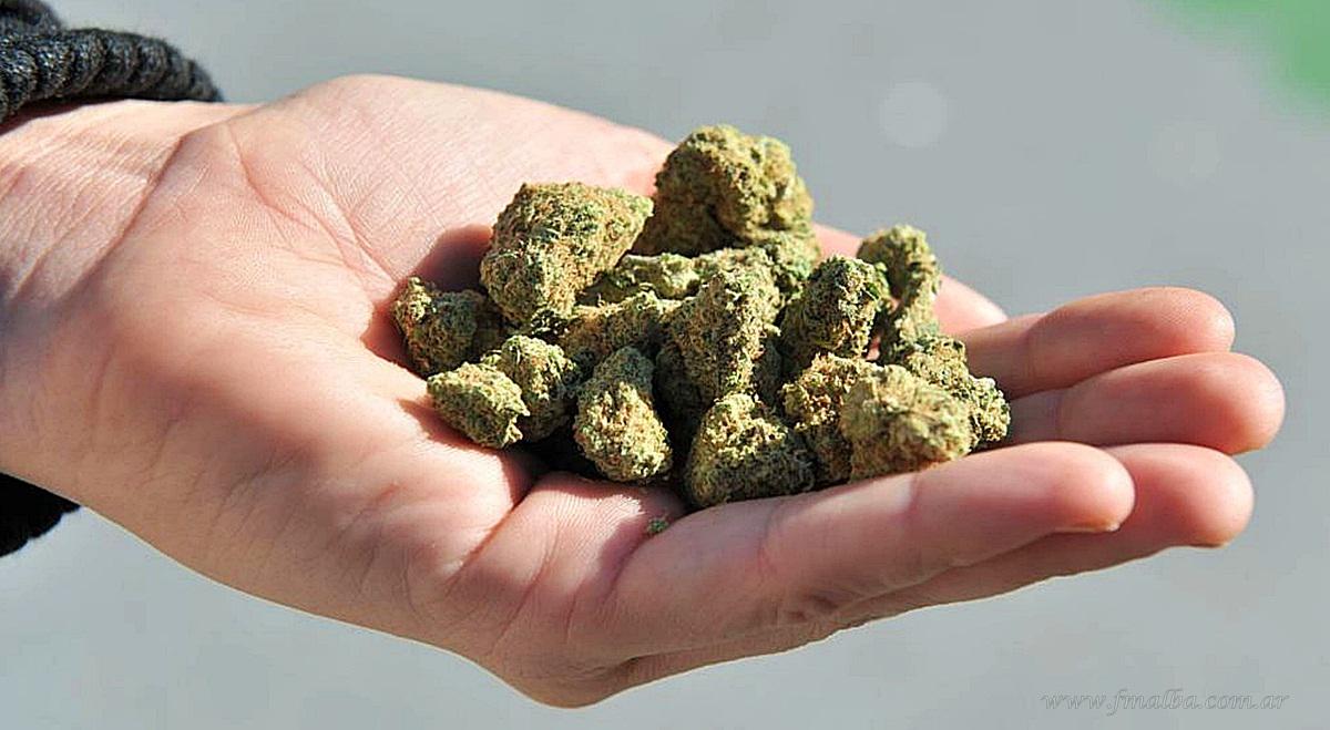 poli21_correo_marihuana_tartagal