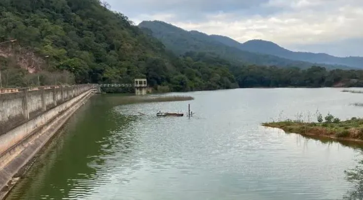 noticia 5 cianobacterias