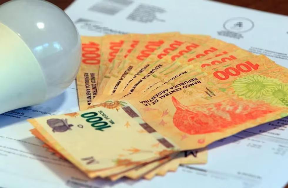 WhatsApp Image 2024-07-23 at 8.00.13 AM