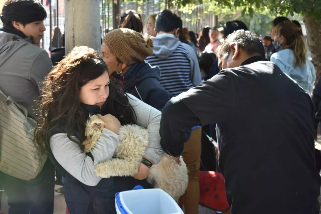 castracion-y-vacunacion-solidaridad-3-1024x683