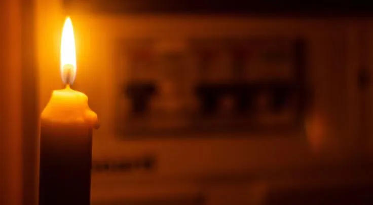 NOTICIA 6 LUZ CERRILLOS