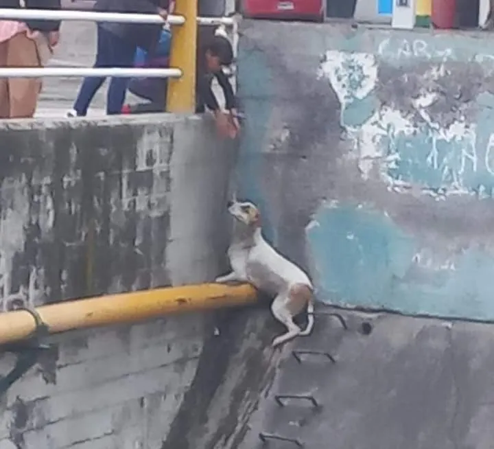 WhatsApp Image 2024-10-16 at 9.33.06 AM