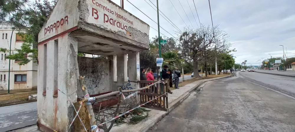 WhatsApp Image 2022-09-29 at 08.32.28