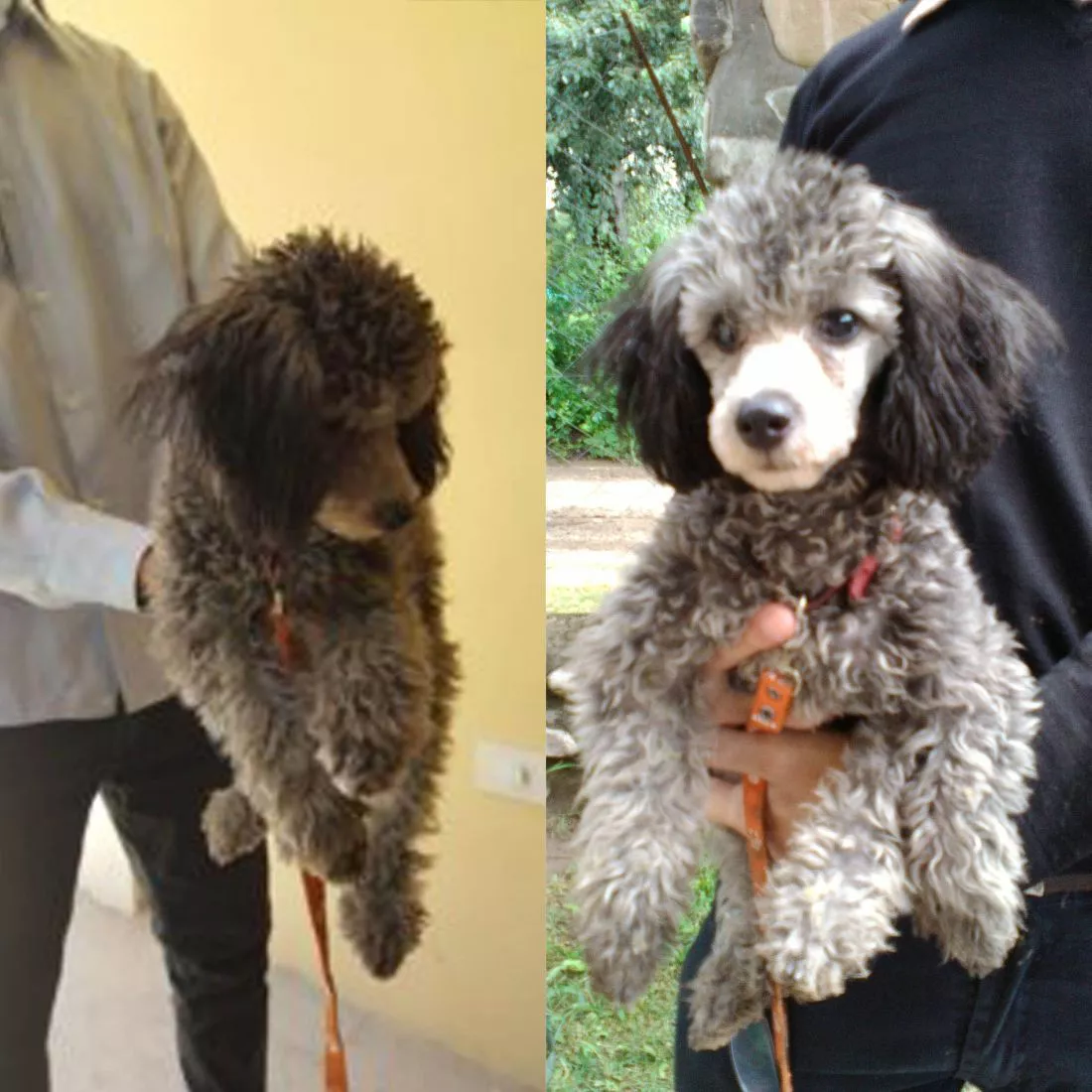 IMG-20220930-WA0094(1)