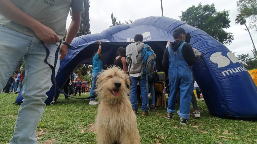 jornada-adopciones-parque-San-Martin-1-1024x576